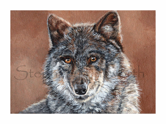 Wolf Portrait 8 x 6 inch Fine Art Giclee Print