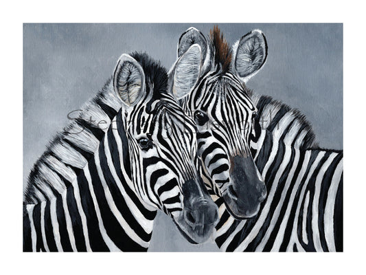 Zebras Giclee Fine Art Print