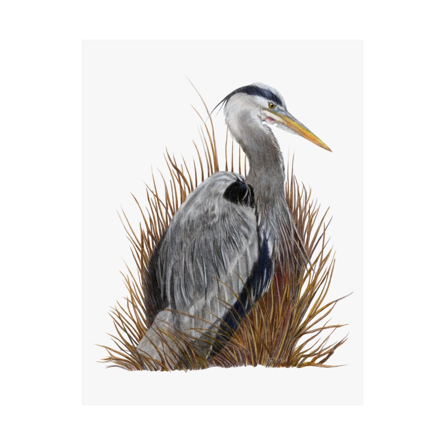 Great Blue Heron Matte Vertical Posters