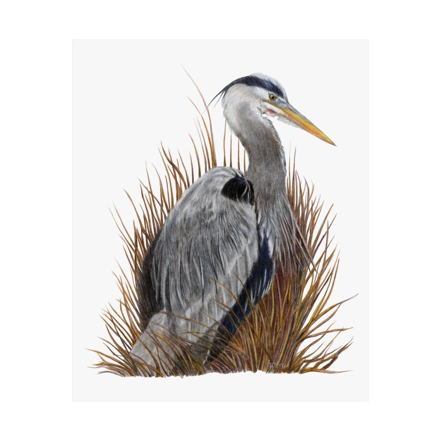 Great Blue Heron Matte Vertical Posters