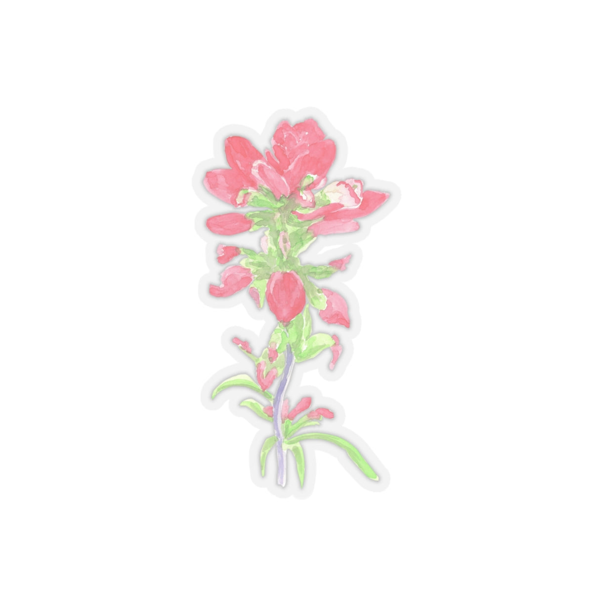 Watercolor Indian Paintbrush Kiss-Cut Stickers