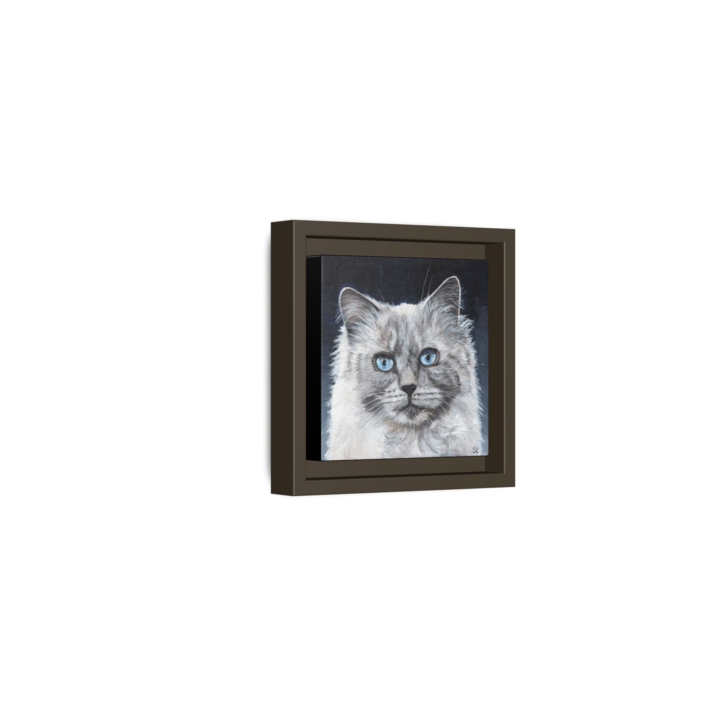 Framed Matte Canvas – Blue-Eyed Ragdoll Cat Portrait