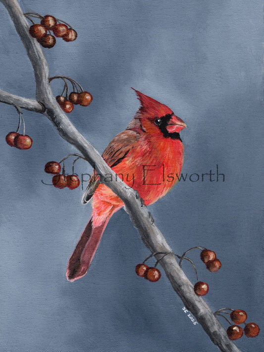 9 x 12 Original Cardinal Acrylic Painting