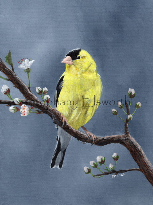 9 x 12 Original Goldfinch Acrylic Painting