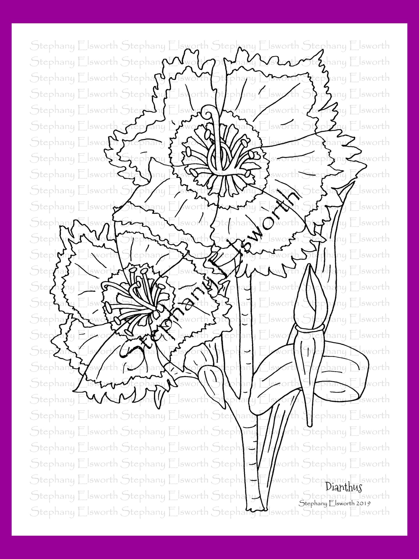 Joyful Blossoms 8 1/2 x 11 PDF Instant Download Printable Coloring Book