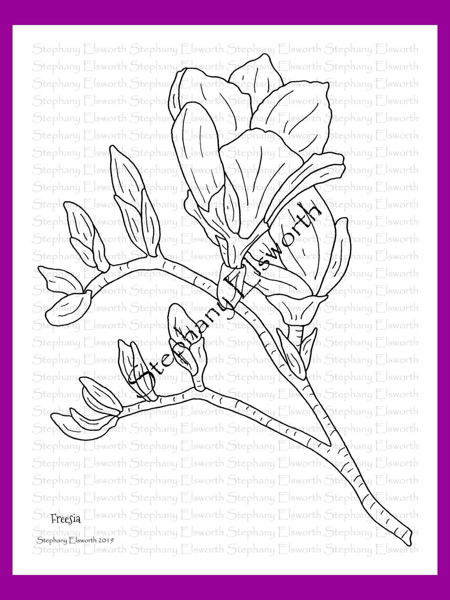 Joyful Blossoms 8 1/2 x 11 PDF Instant Download Printable Coloring Book