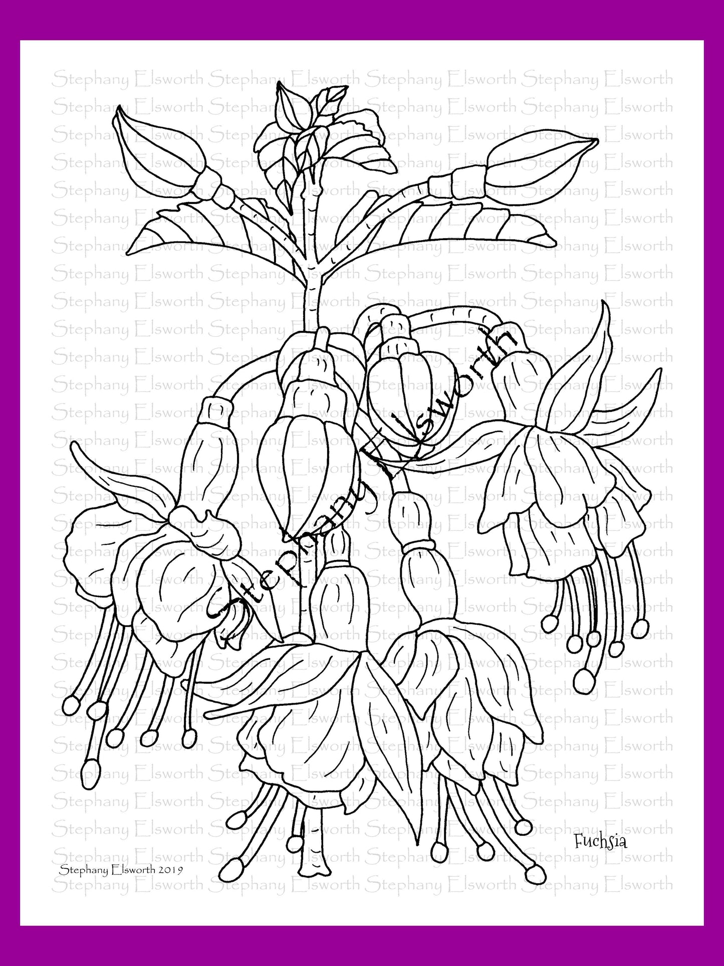 Joyful Blossoms 8 1/2 x 11 PDF Instant Download Printable Coloring Book