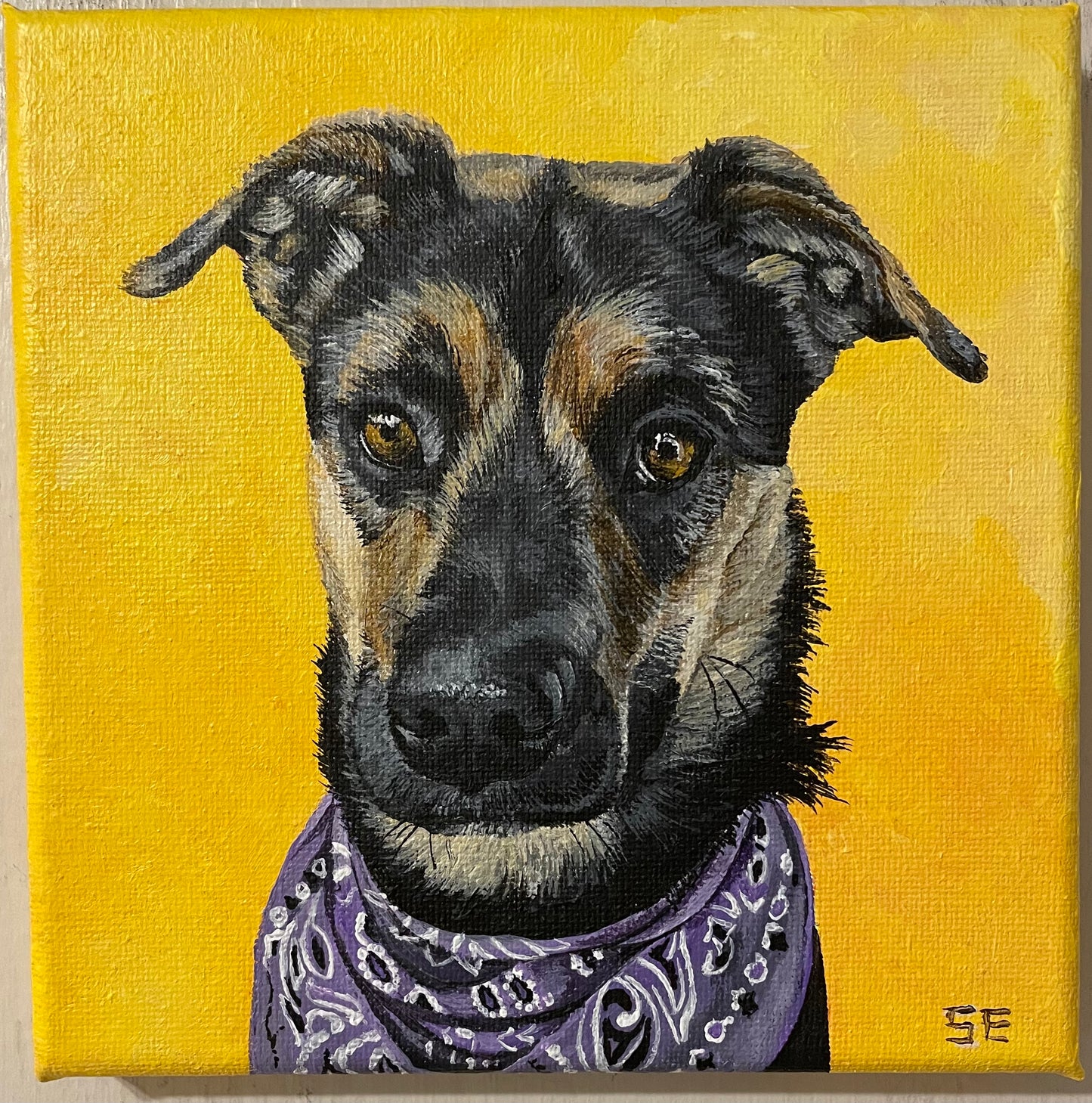 Custom Miniature Acrylic Pet Painting on Stretched Canvas