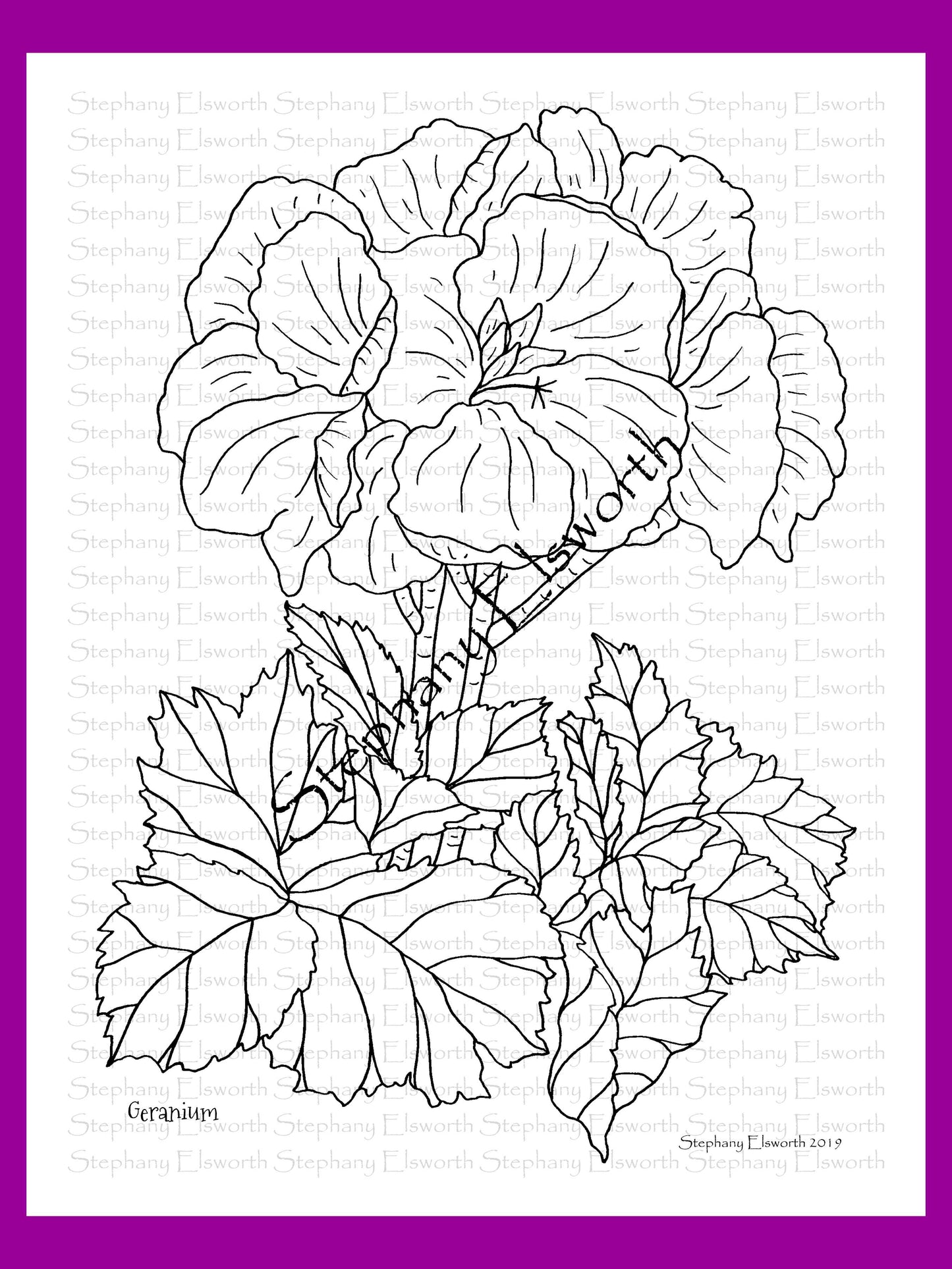 Joyful Blossoms 8 1/2 x 11 PDF Instant Download Printable Coloring Book