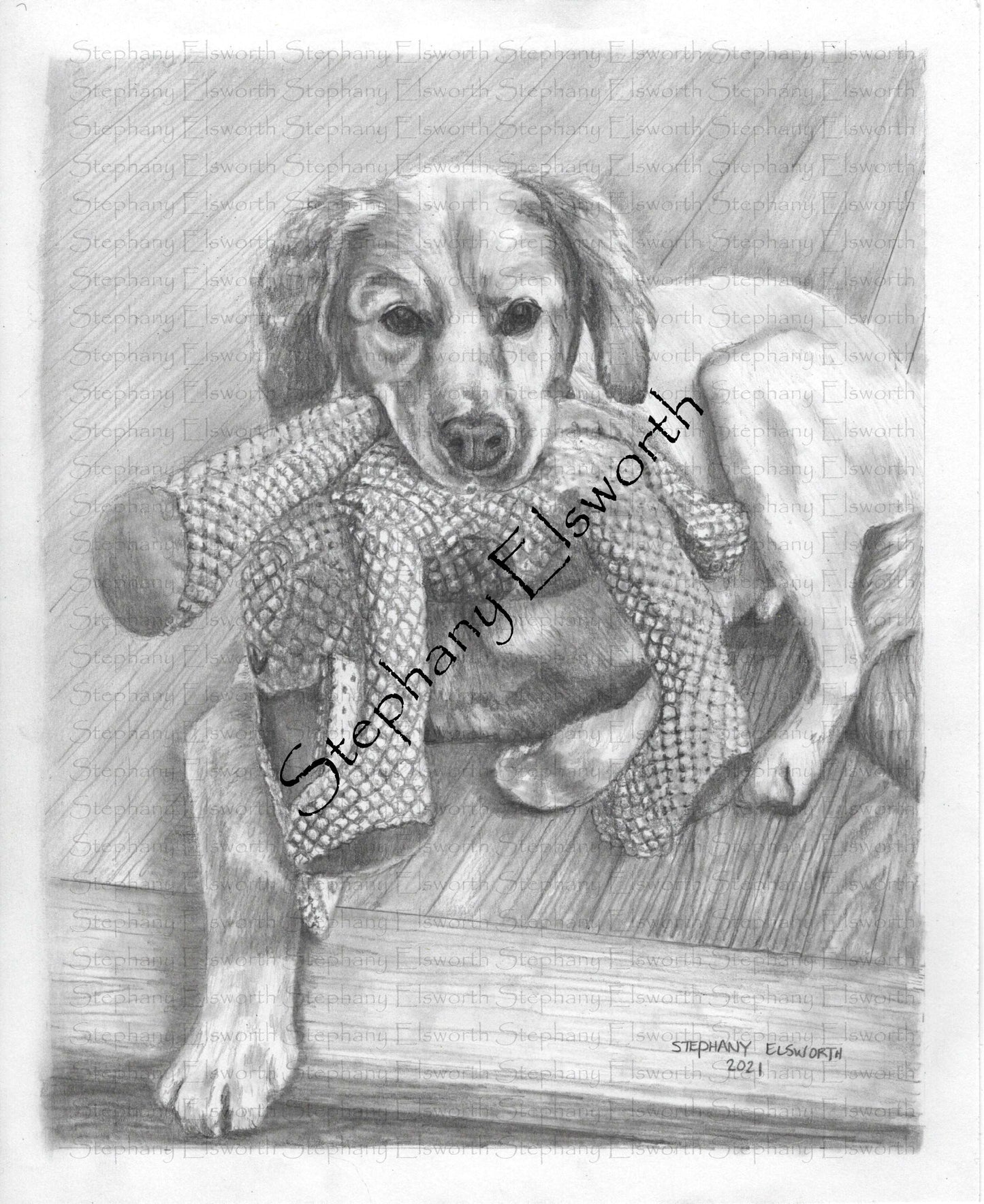 Custom Graphite Pencil Pet Portrait from Photo