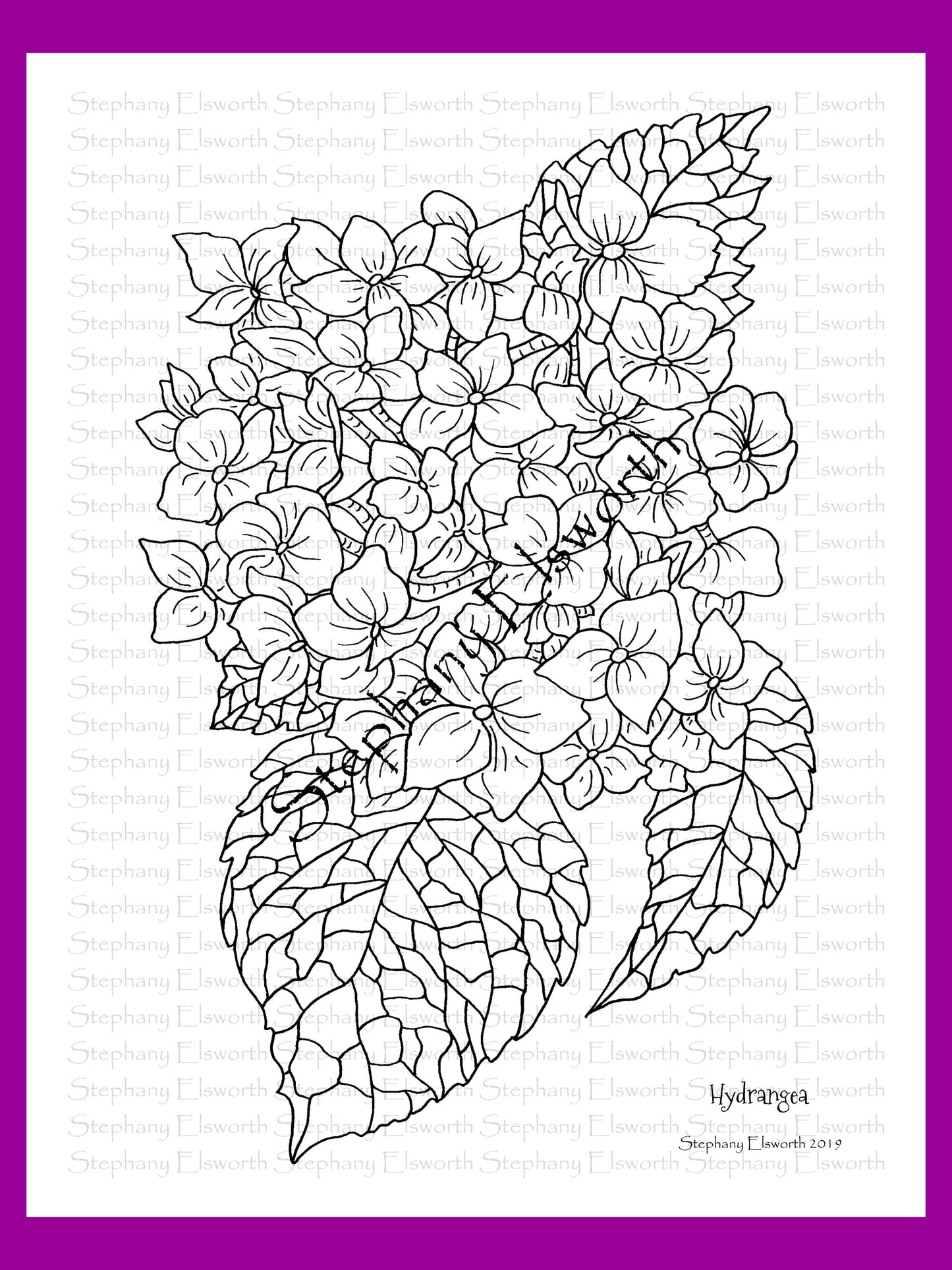 Joyful Blossoms 8 1/2 x 11 PDF Instant Download Printable Coloring Book