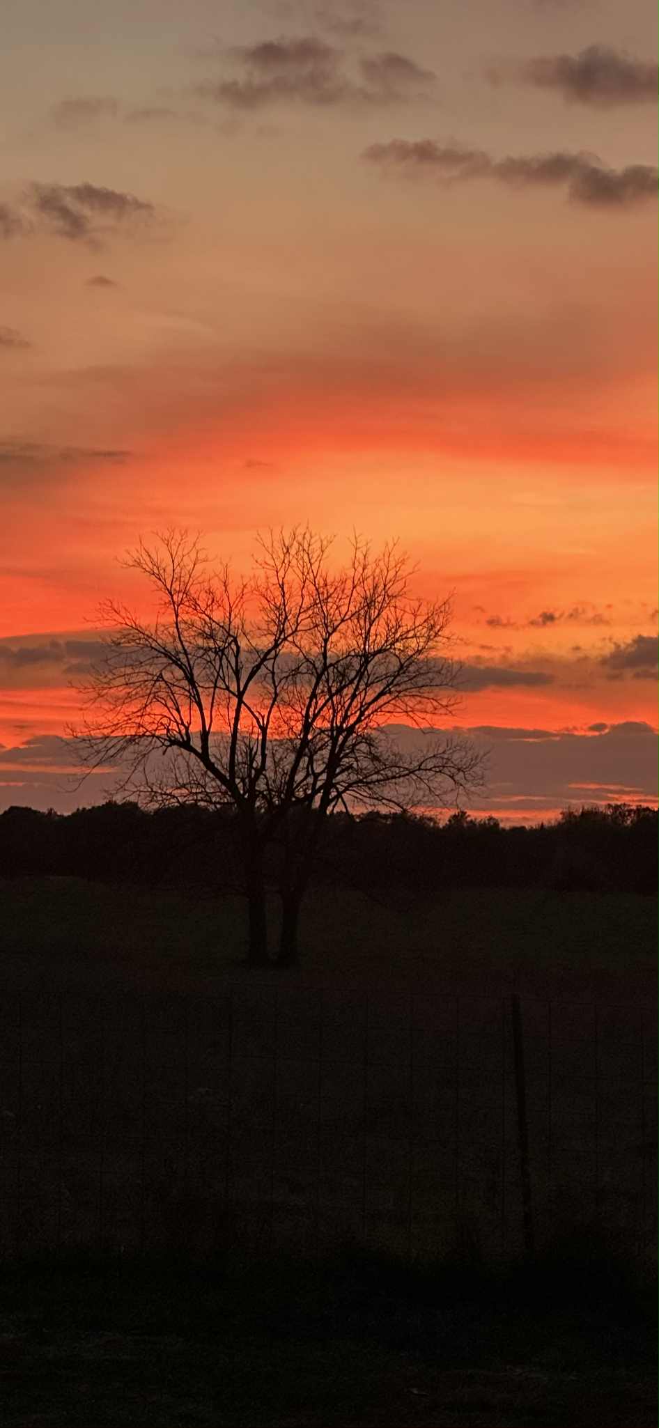 11 x 14 Custom Painting