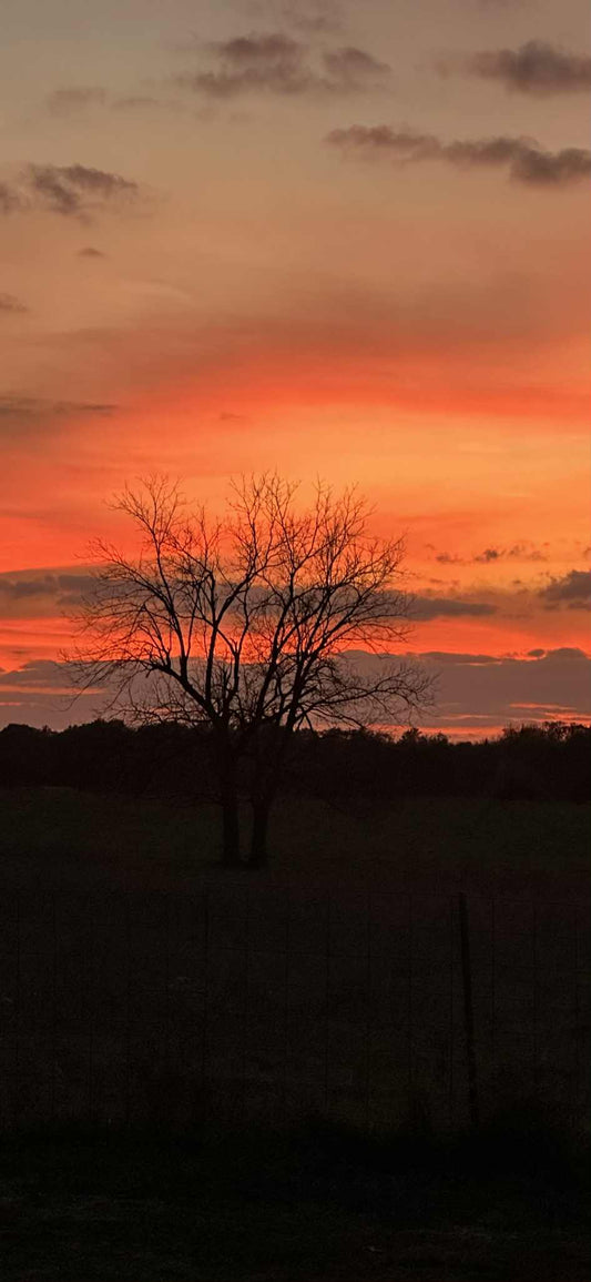 11 x 14 Custom Painting