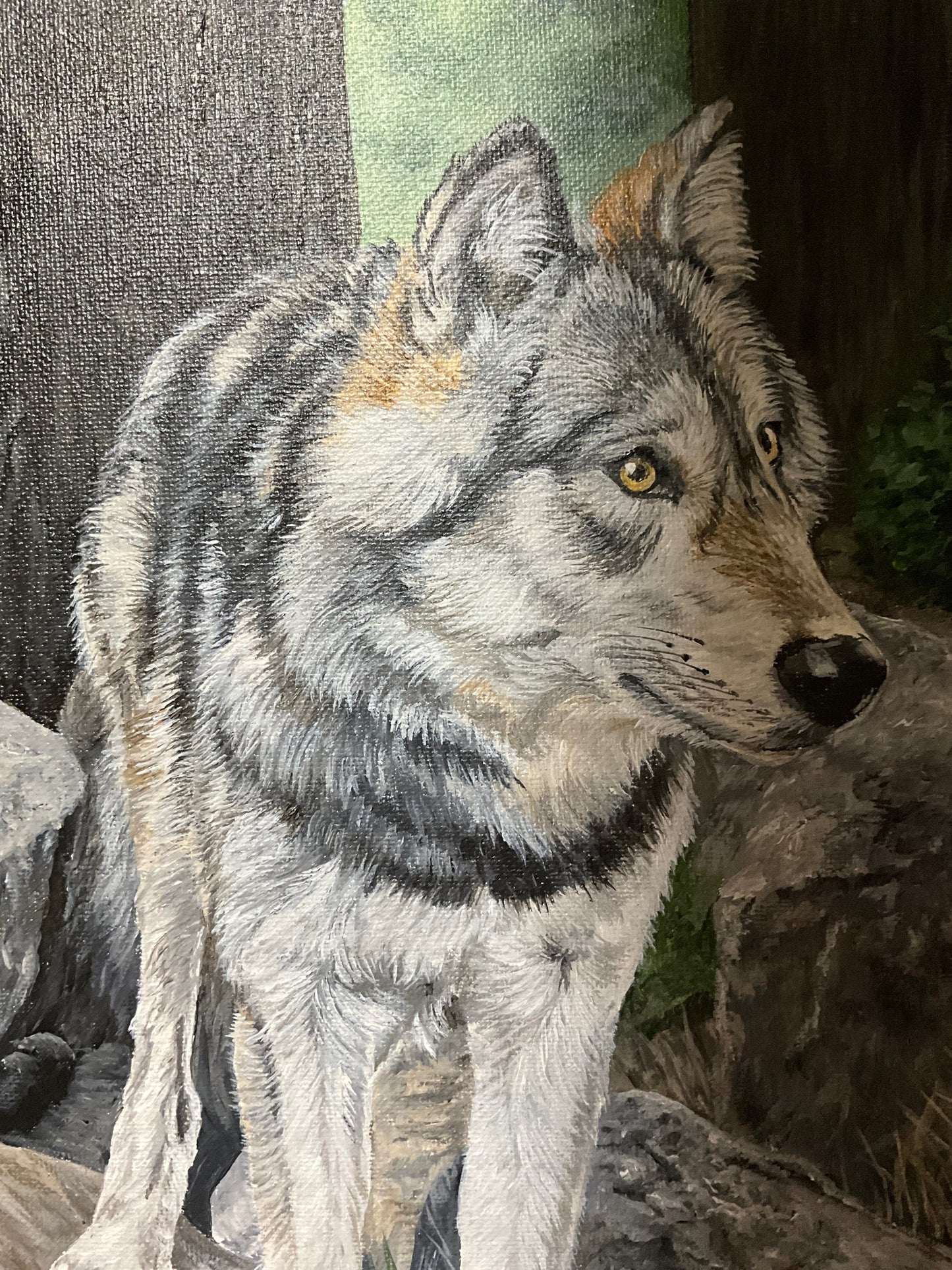 Wolf on Rocks 11 x 14 inch Original Custom Framed Acrylic Painting