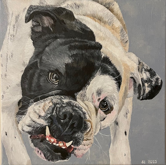 12 x 12 Custom Acrylic Pet Portrait on Stretched Canvas