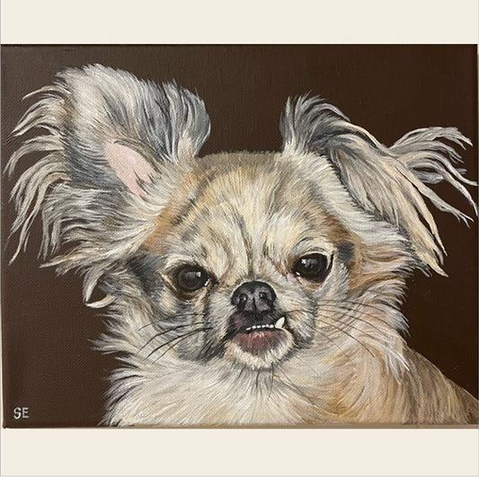Custom 8 x 10/10 x 8 Inch Acrylic Pet Portrait on Stretched Canvas