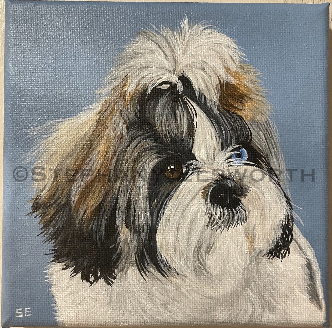 Custom Miniature Acrylic Pet Painting on Stretched Canvas