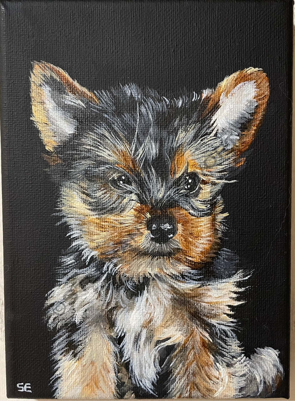 Custom Miniature Acrylic Pet Painting on Stretched Canvas