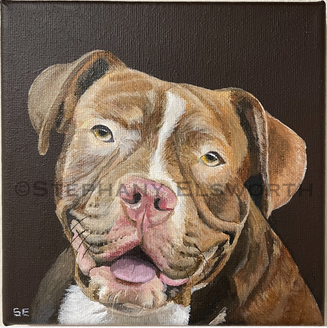 Custom Miniature Acrylic Pet Painting on Stretched Canvas