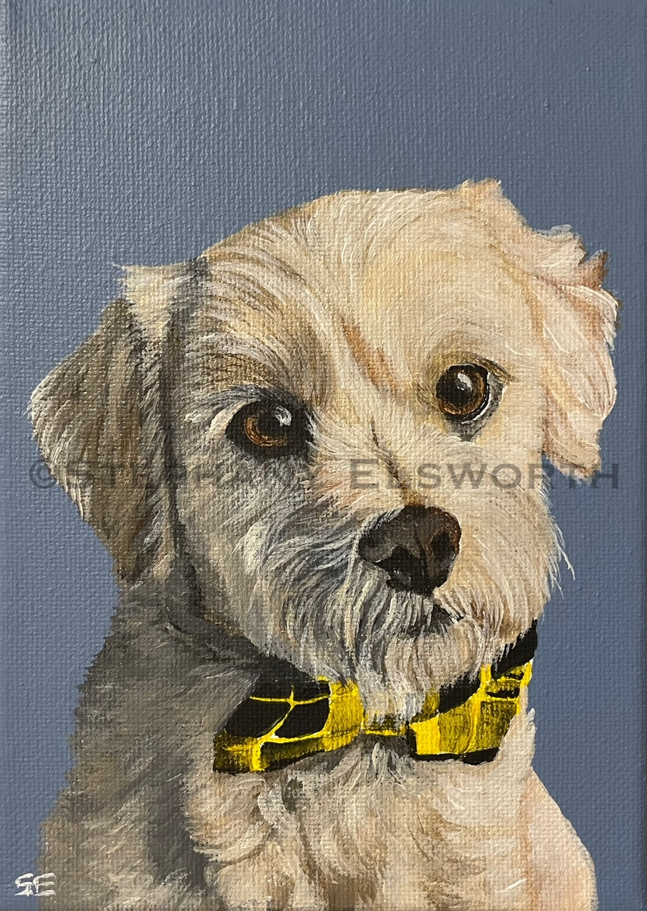 Custom Miniature Acrylic Pet Painting on Stretched Canvas