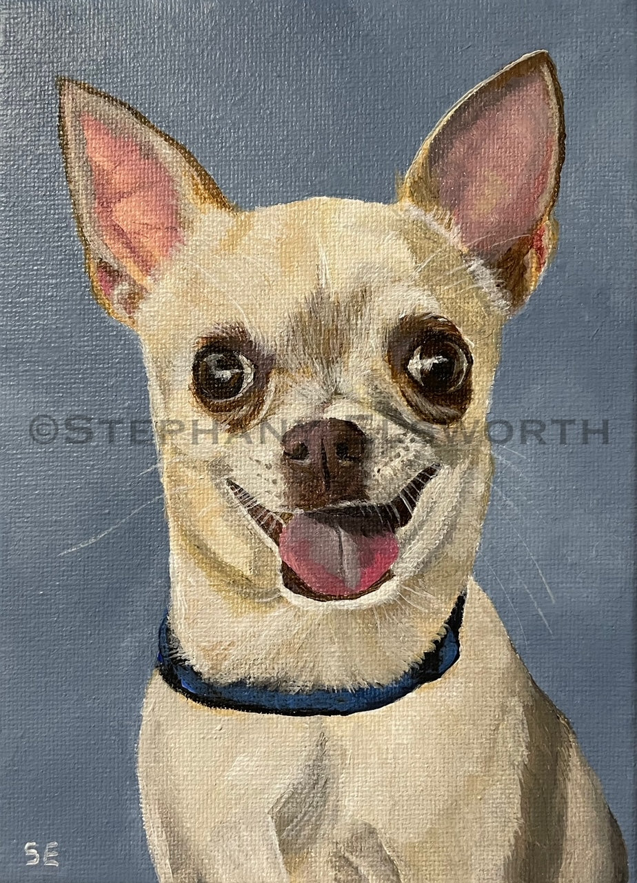 Custom Miniature Acrylic Pet Painting on Stretched Canvas