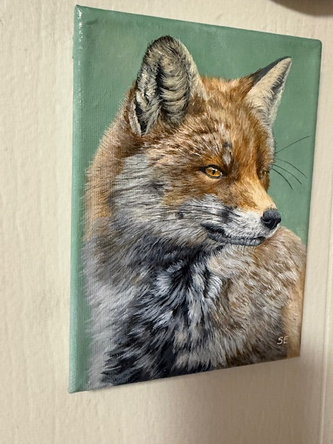 5 x 7 inch Fox Study Original Miniature Painting