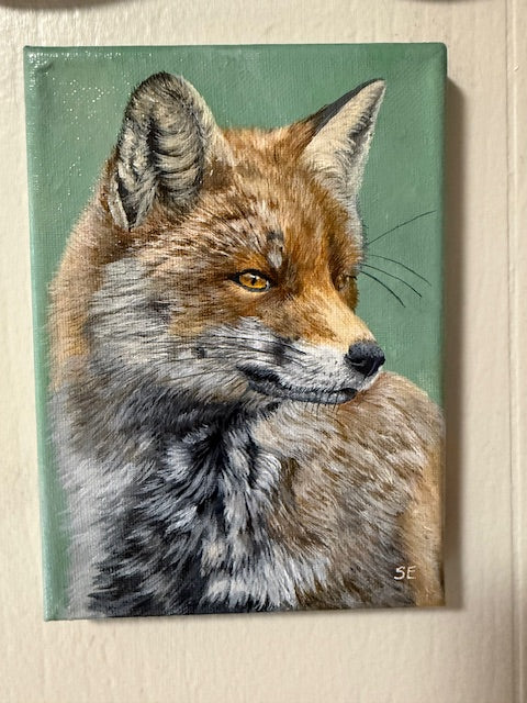 5 x 7 inch Fox Study Original Miniature Painting