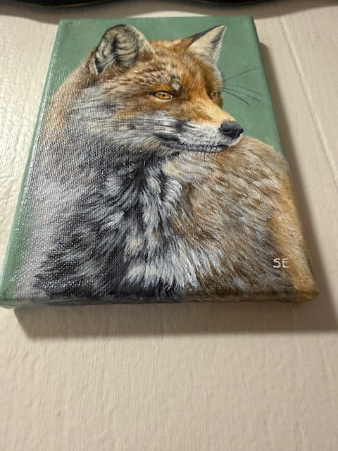 5 x 7 inch Fox Study Original Miniature Painting