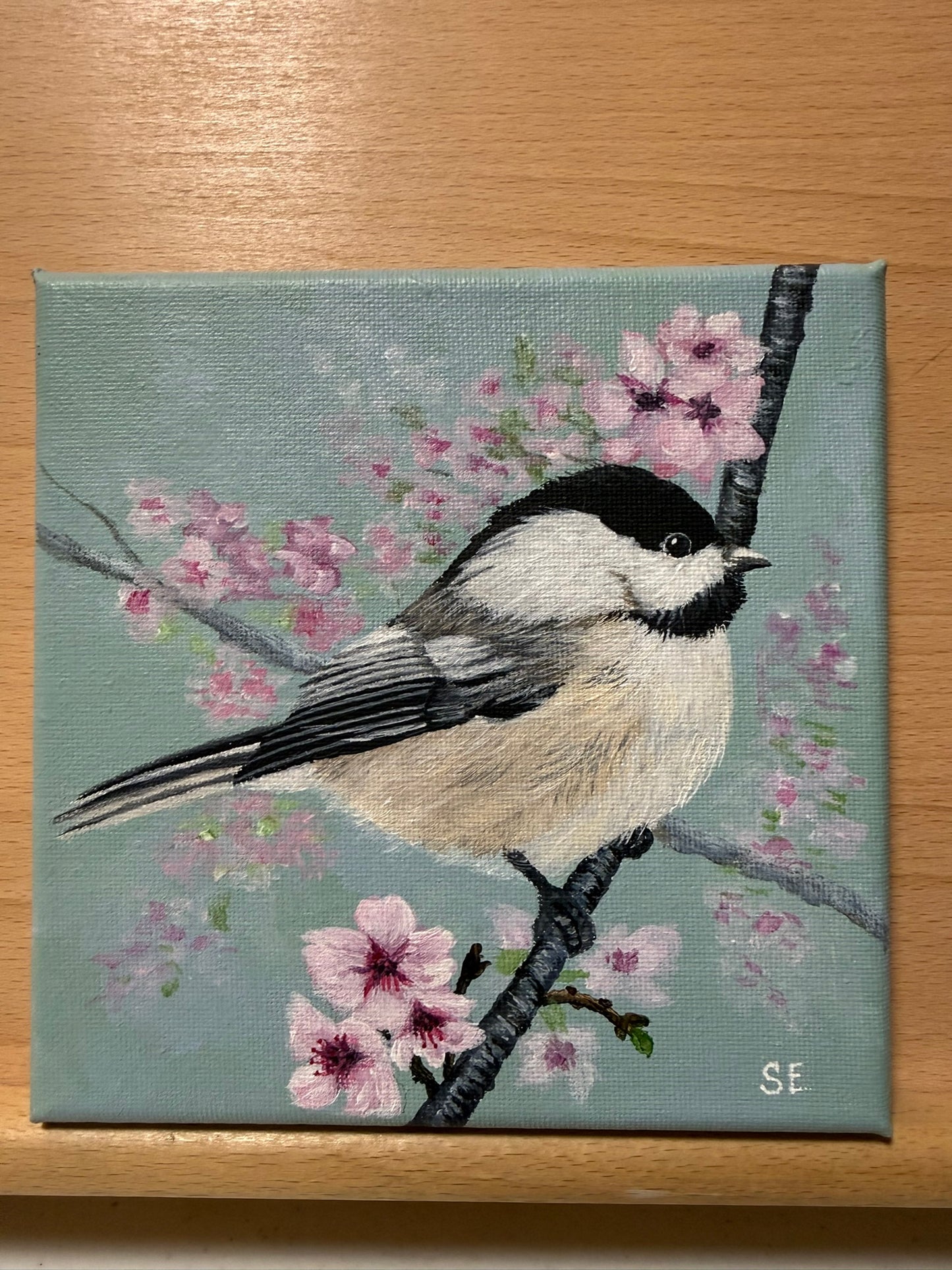 Chickadee and Cherry Blossoms 6 x 6 Original Painting