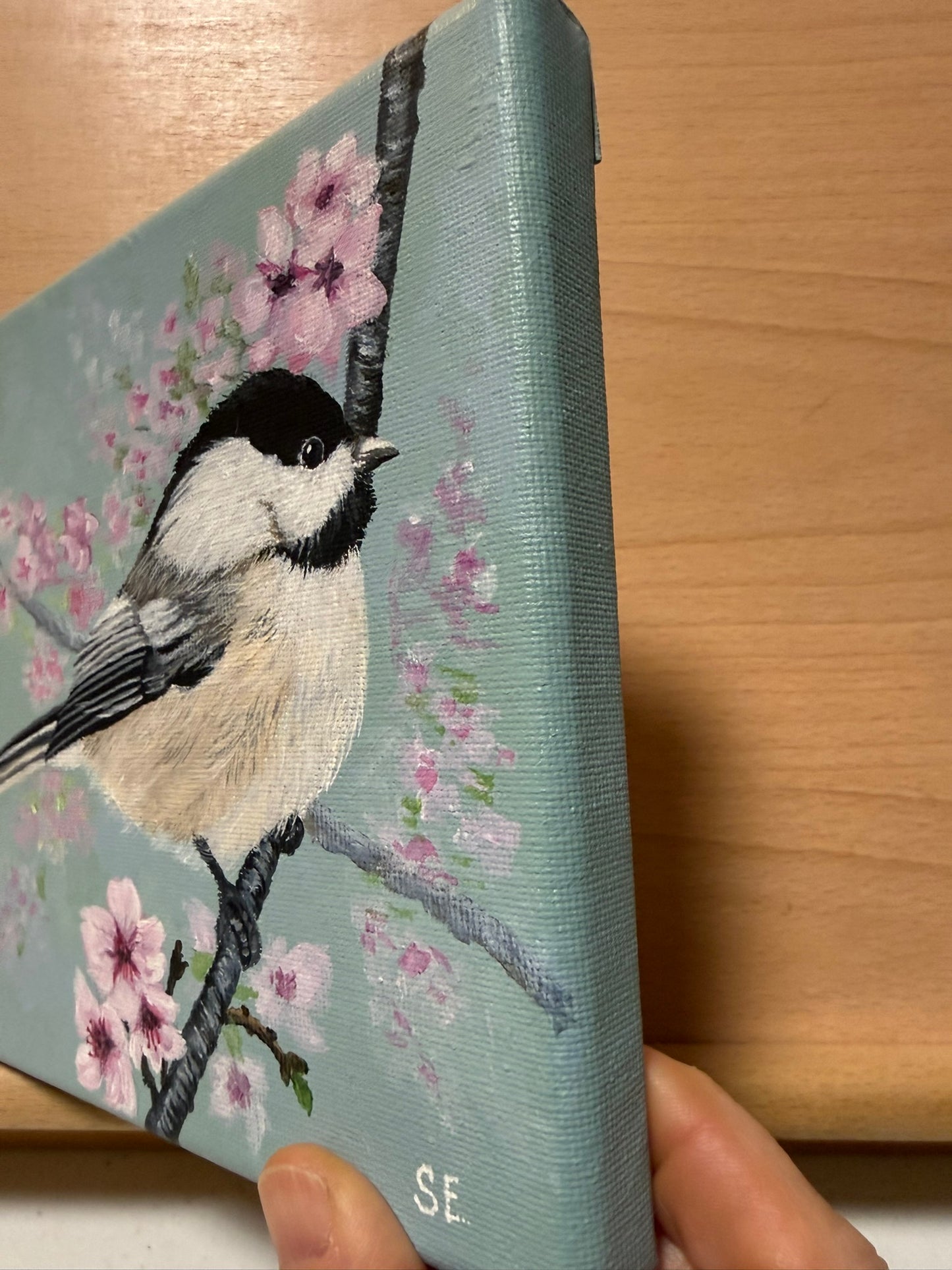 Chickadee and Cherry Blossoms 6 x 6 Original Painting