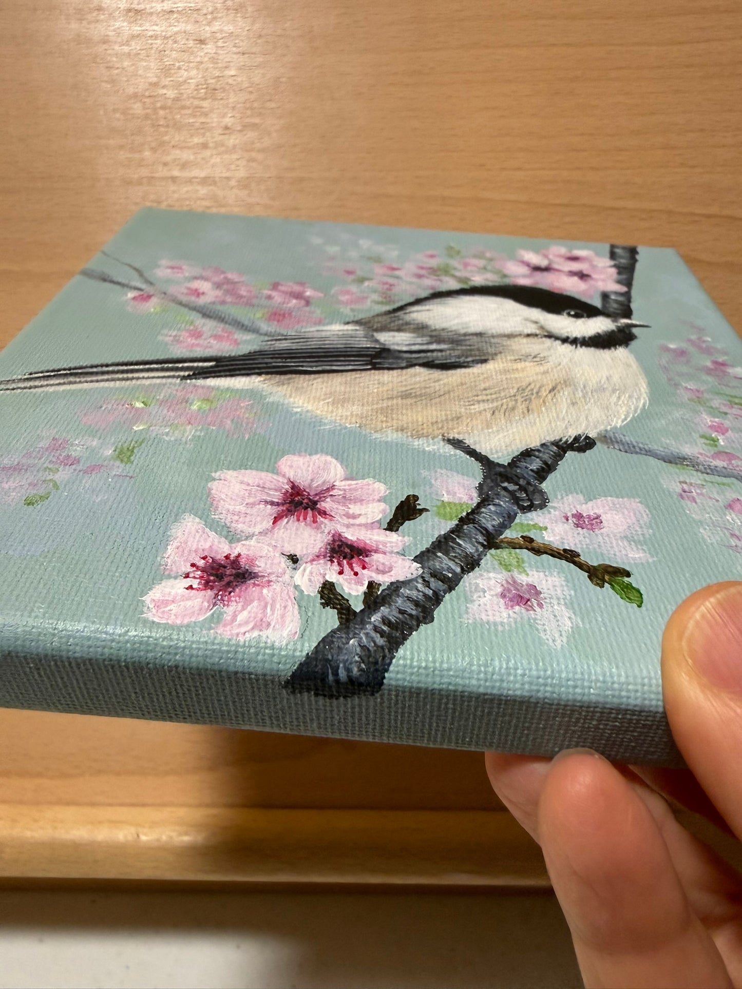 Chickadee and Cherry Blossoms 6 x 6 Original Painting