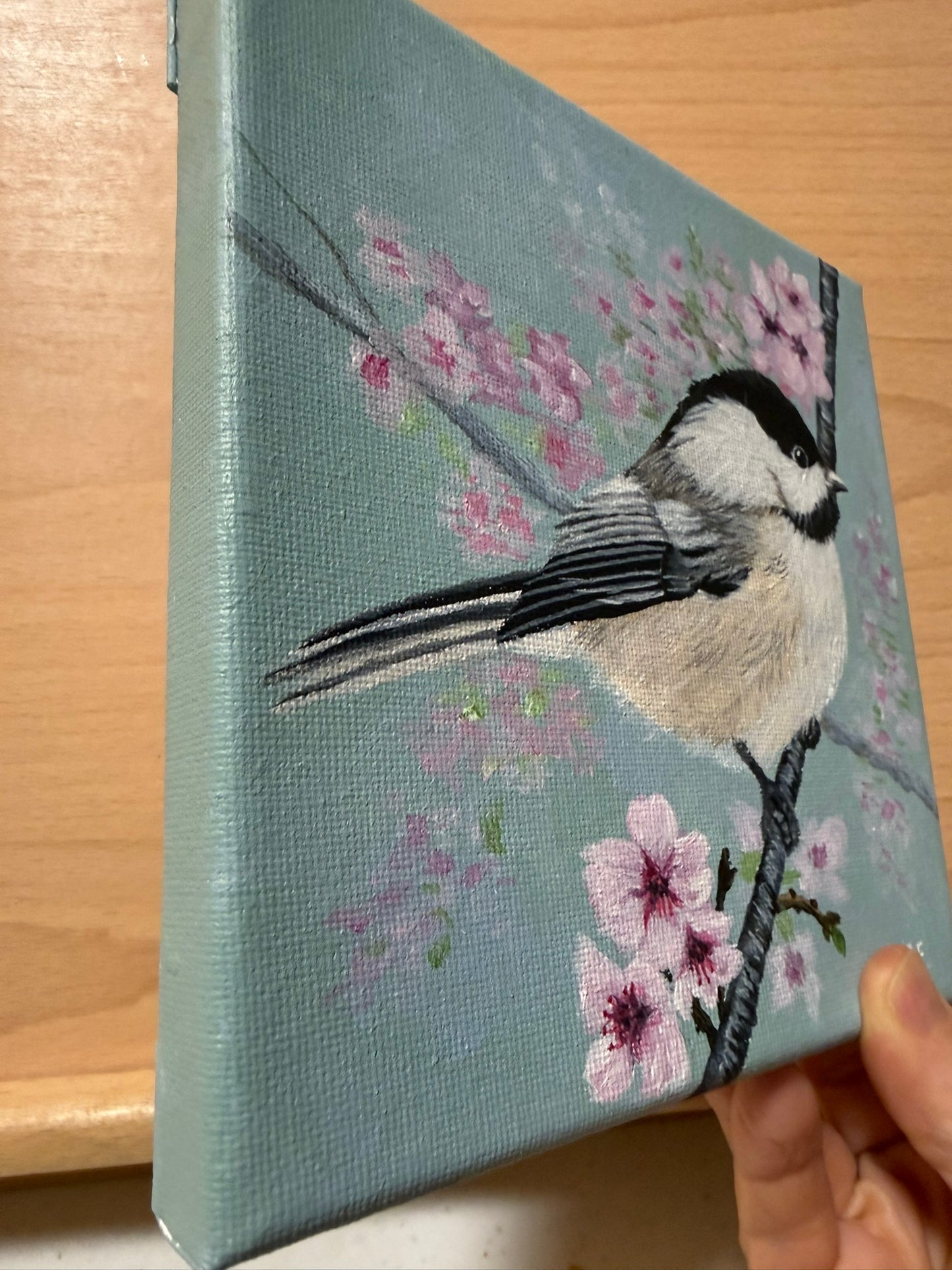 Chickadee and Cherry Blossoms 6 x 6 Original Painting