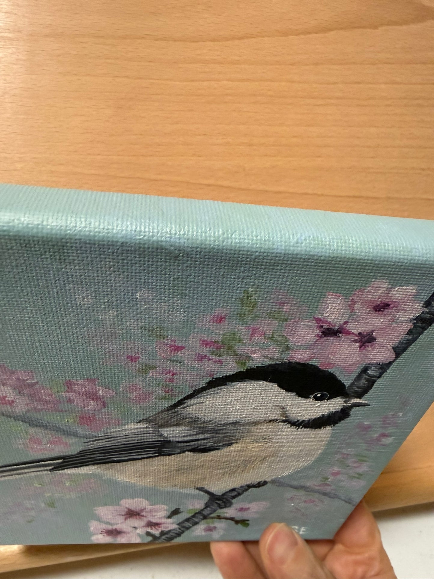 Chickadee and Cherry Blossoms 6 x 6 Original Painting