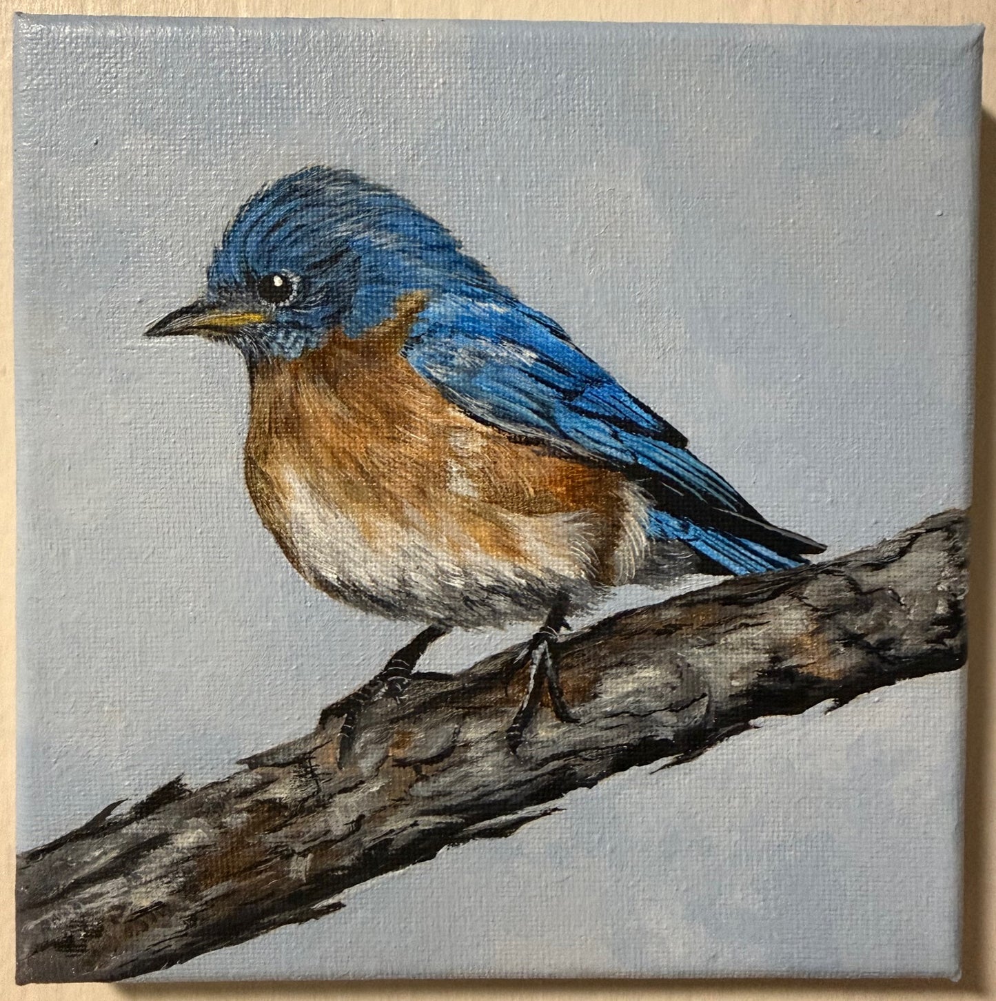 Bluebird 6 x 6 Original Acrylic Painting