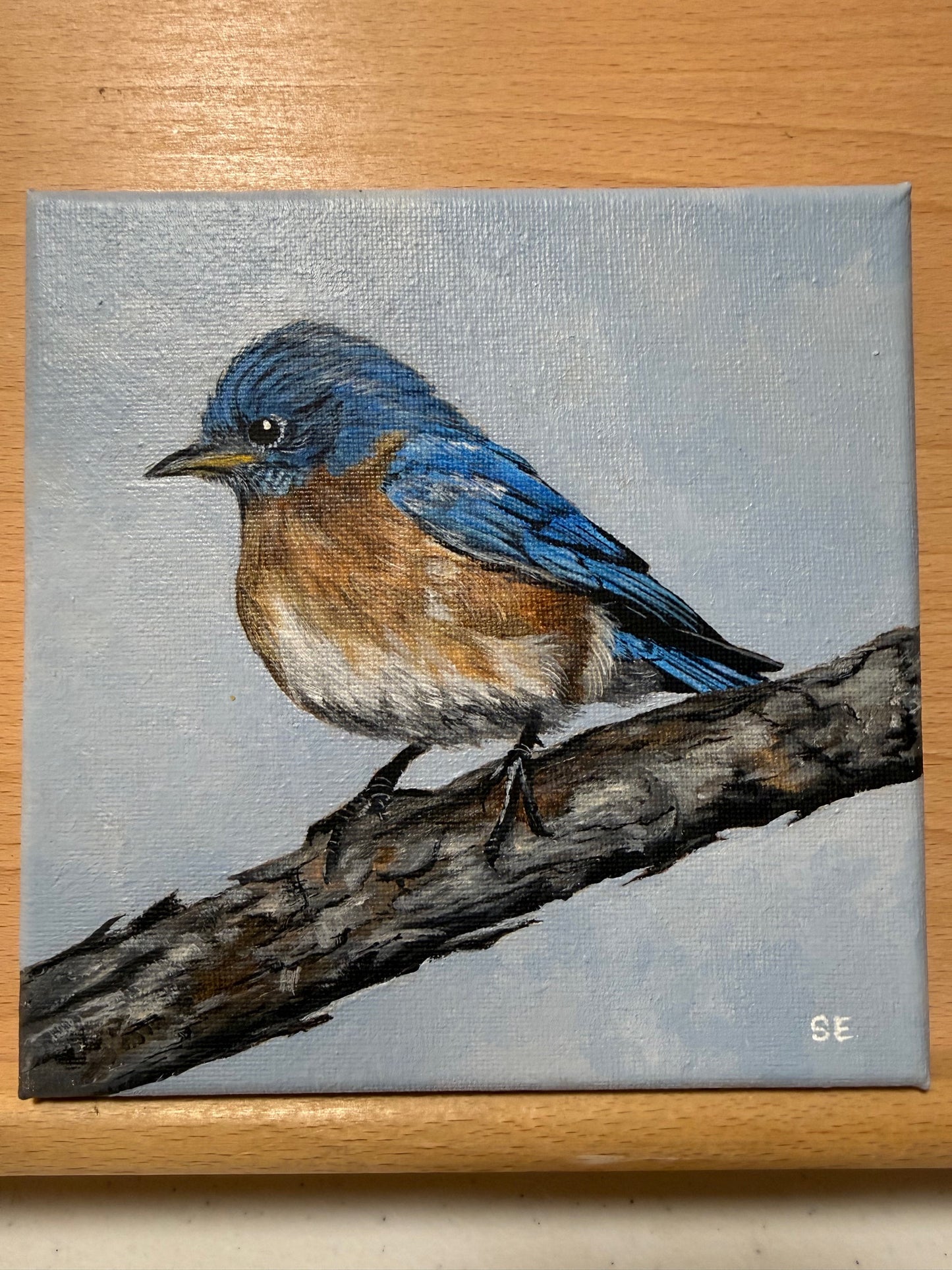 Bluebird 6 x 6 Original Acrylic Painting