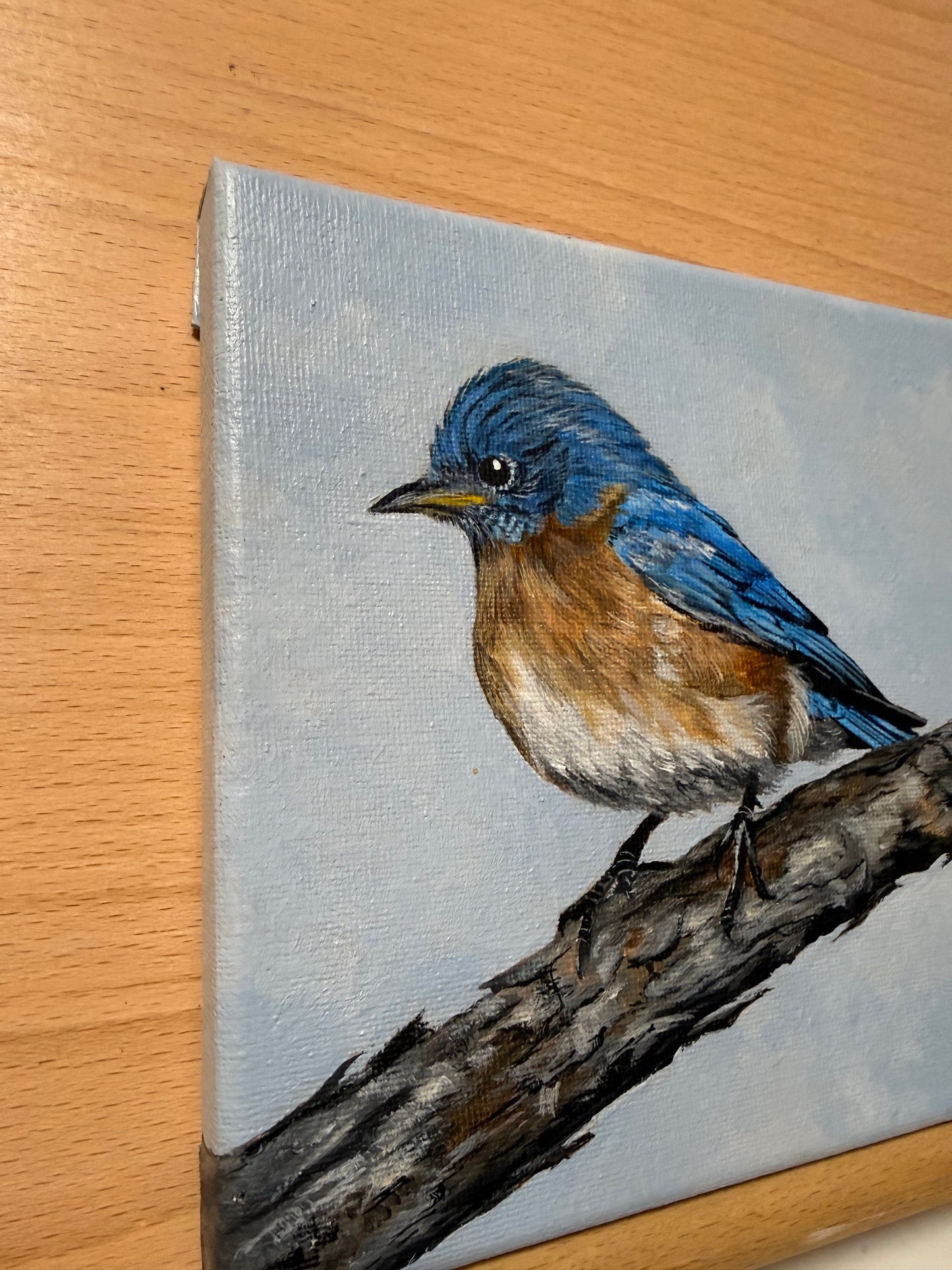 Bluebird 6 x 6 Original Acrylic Painting