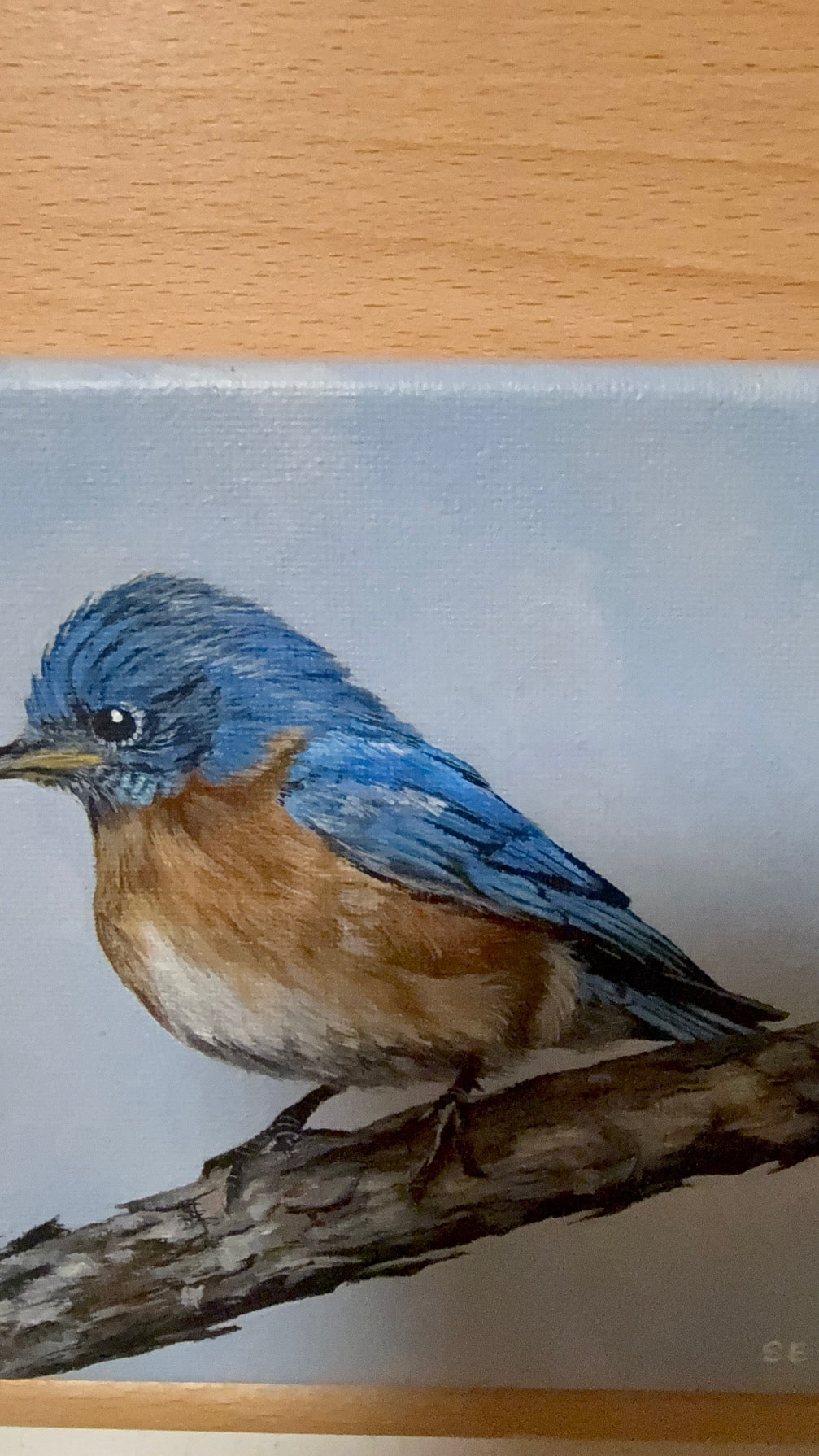 Bluebird 6 x 6 Original Acrylic Painting