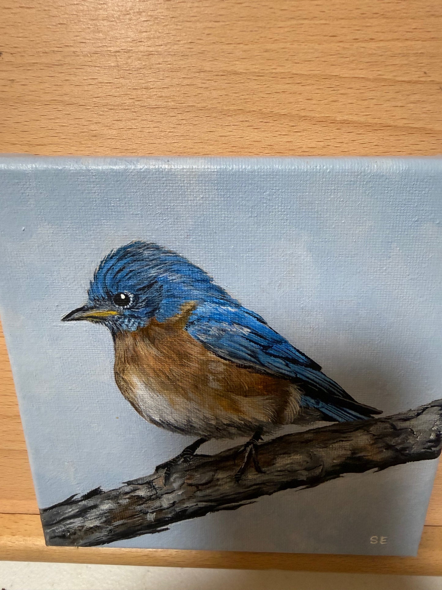 Bluebird 6 x 6 Original Acrylic Painting