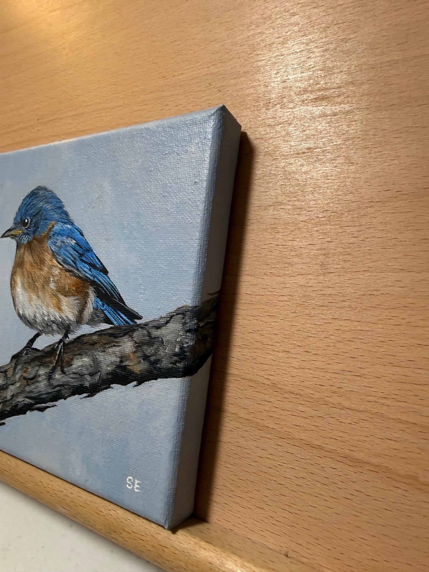 Bluebird 6 x 6 Original Acrylic Painting