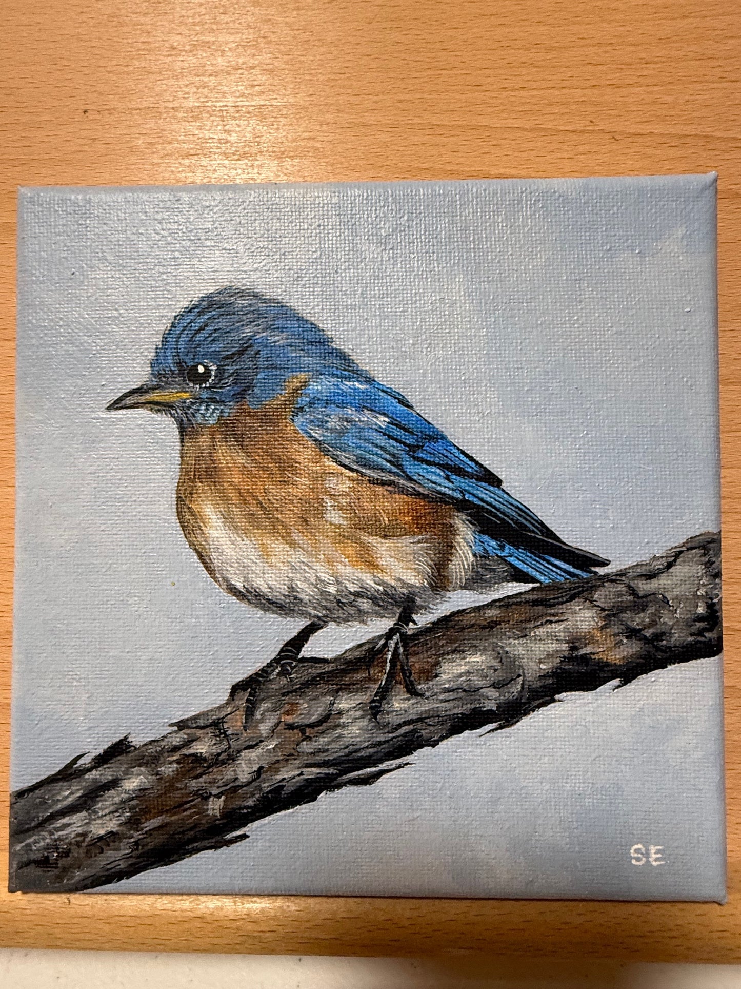 Bluebird 6 x 6 Original Acrylic Painting