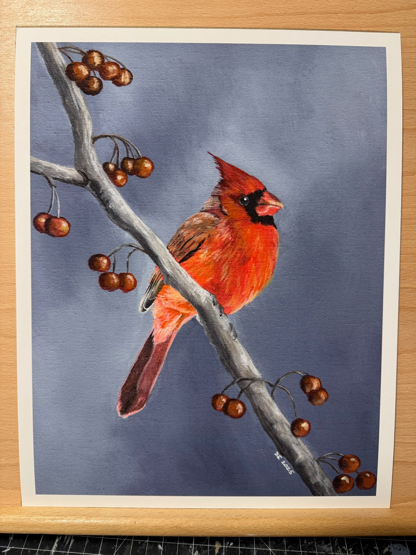 Cardinal Giclee Fine Art Print