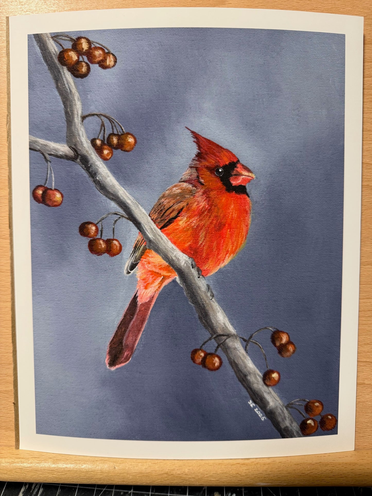 Cardinal Giclee Fine Art Print