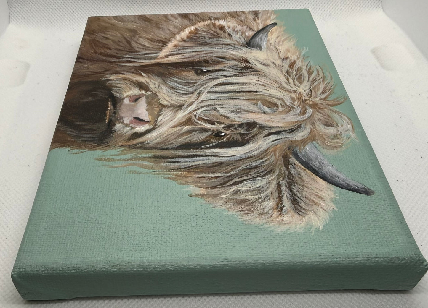 7 x 5 Inch Scottish Highland Cow on Farmhouse Green Original Painting
