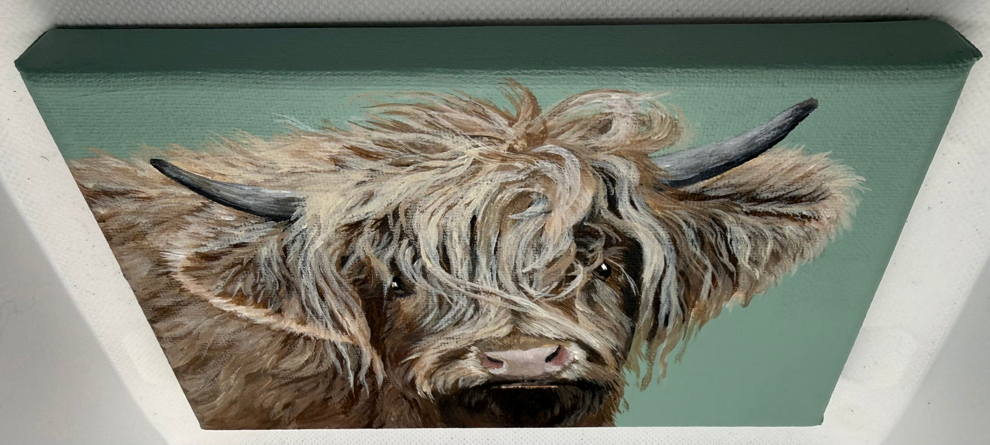 7 x 5 Inch Scottish Highland Cow on Farmhouse Green Original Painting