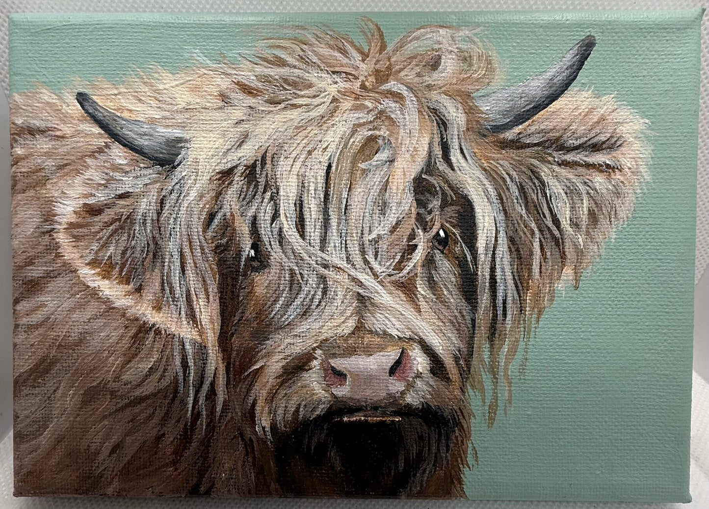 7 x 5 Inch Scottish Highland Cow on Farmhouse Green Original Painting