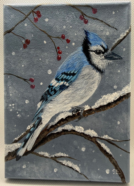 5 x 7 inch Bluejay in Snow Original Acrylic Painting