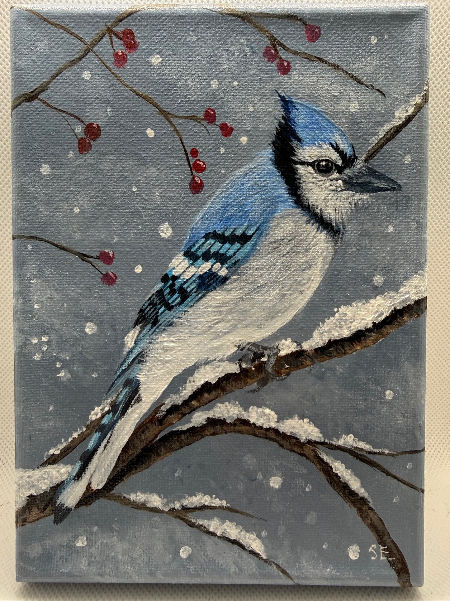 5 x 7 inch Bluejay in Snow Original Acrylic Painting