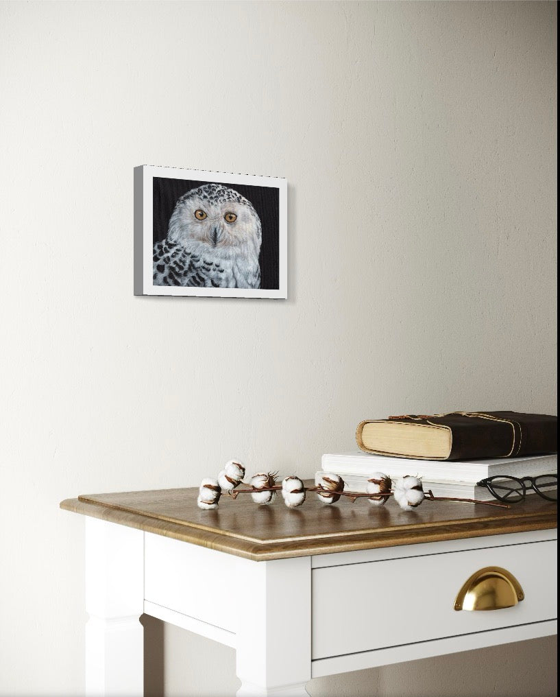 Snowy Owl 8 x 6 inch Giclee Print