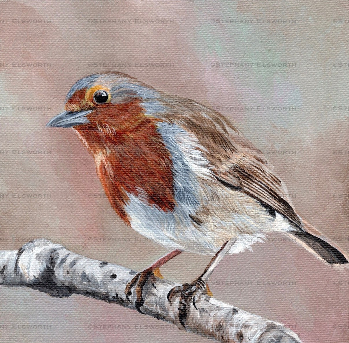 European Robin 6 x 6 Original Acrylic Painting