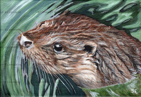 7 x 5 Original River Otter Acrylic Painting